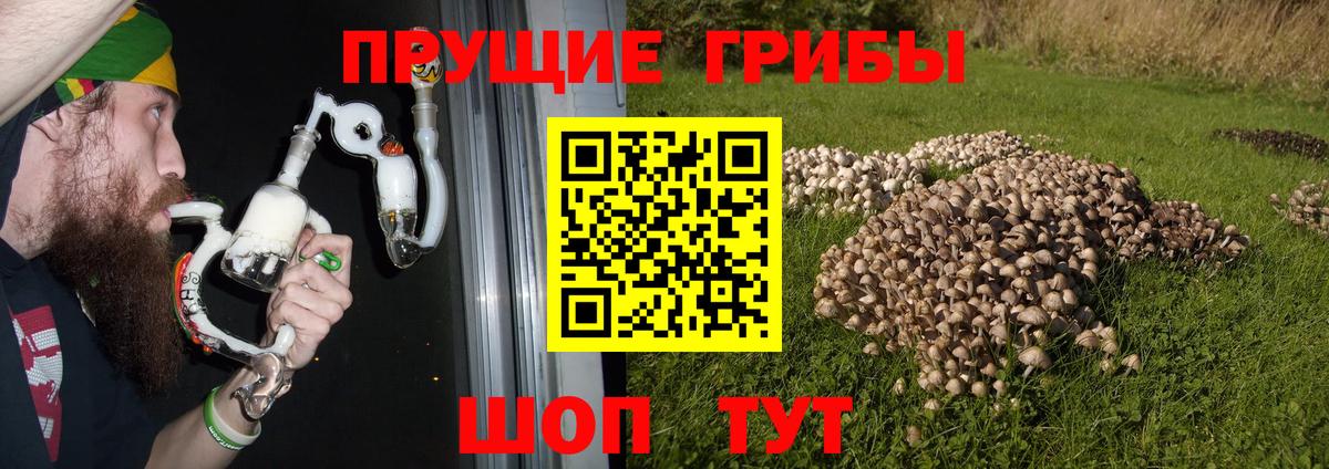Алексин  что такое наркотик  Вход с VPN  Псилоцибиновые грибы прущие грибы 